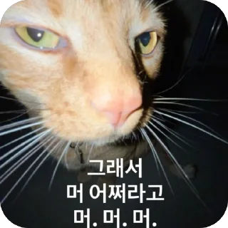 Telegram sticker 🐱 망듀티콘2