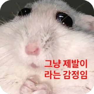 Telegram sticker 🐁 망듀티콘2