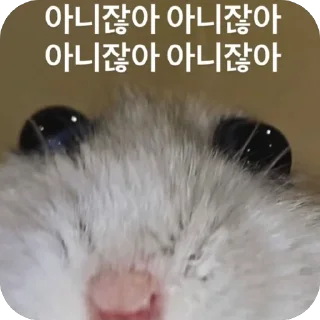 Telegram sticker 🐁 망듀티콘2