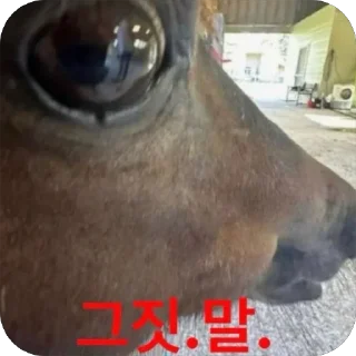 Video sticker 🐴 망듀티콘2