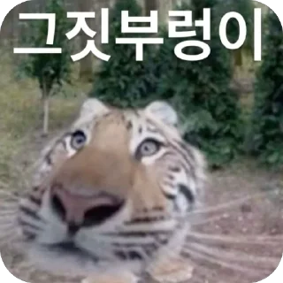 Telegram sticker 🐯 망듀티콘2