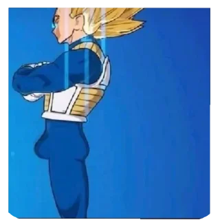 Telegram sticker 🖼 honest reaction GOKU
