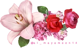 Telegram sticker 🌹 ورود