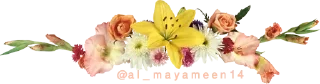 Telegram sticker 🌼 ورود