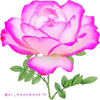 Telegram sticker 🌸 ورود