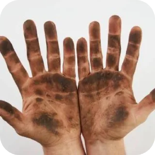 Video sticker ✋ shoebill OQMDV