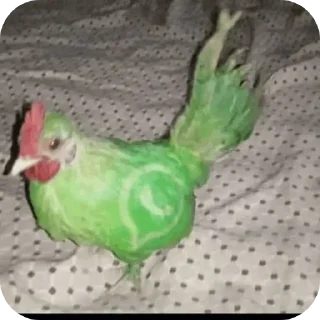 Telegram sticker 🐔 @KKZZ2009           بازنده پک اه‌‌ه‌ه‌ه‌‌ه‌ه