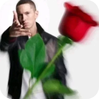 Video sticker 🌹 @i0vir0
