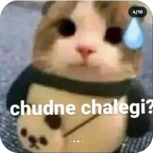 Telegram sticker 🤲 Luci memer :: @fStikBot