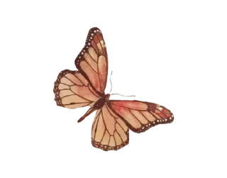 Telegram sticker 🦋 @Sadesticx @flawless_47 @stick :: @fStikBot
