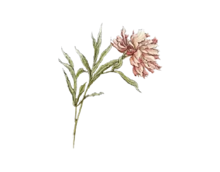 Telegram sticker 🥀 @Sadesticx @flawless_47 @stick :: @fStikBot