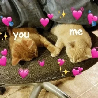Telegram sticker 💚 Byakuya 🧡💚 Cat @byakuya2OP