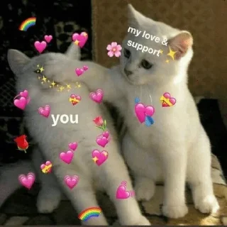 Telegram sticker ❤️ Byakuya 🧡💚 Cat @byakuya2OP