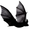Video sticker 🦇 dark ➜ @emoji1