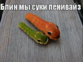 Телеграм стикер 🌟 вылазахи вылезайте @keroharochka