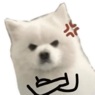 Telegram sticker 🤬 Sora Catto