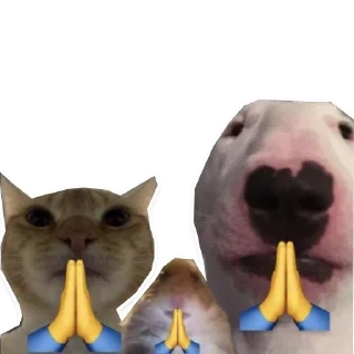 Telegram sticker 🙏 Sora Catto