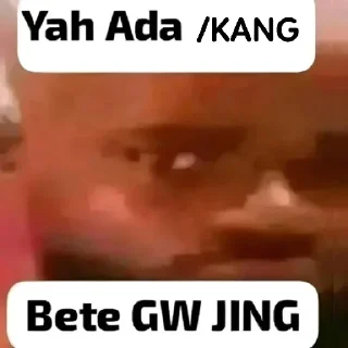 Video sticker 🤔 stikerpek @noshikzd