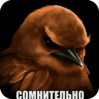 Video sticker 🐦 Птiчкi :: @fStikBot