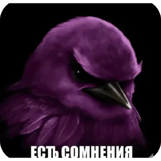 Sticker 🌟 Птiчкi :: @fStikBot