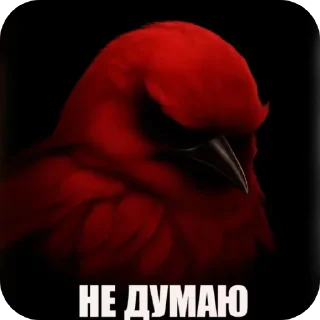 Telegram sticker 🖼 Птiчкi :: @fStikBot