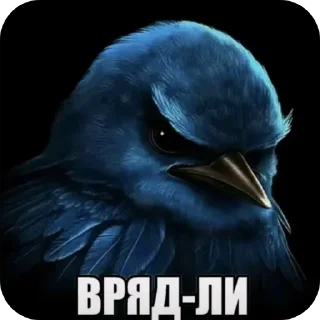 Video sticker 🐦 Птiчкi :: @fStikBot