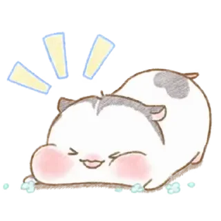 Video sticker ⭐ 판다마우스의 소소한 일상.4 @moe_sticker_bot