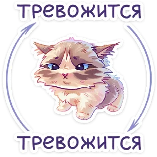 Telegram sticker 🫣 Стелла • @TgSticker