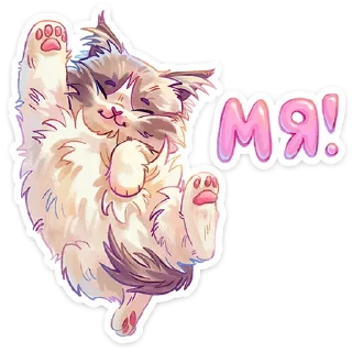 Video sticker 🐾 Стелла • @TgSticker