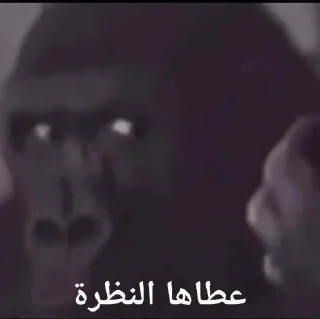 Telegram sticker 😠 The ردة الفعل