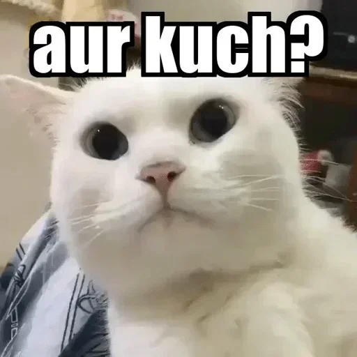 Telegram sticker 🥱 Anti-Detox