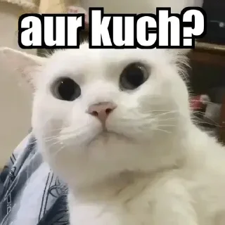 Video sticker 🥱 Anti-Detox