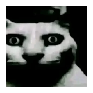 Telegram stiker 🫥 тсс :: @huatsa :: @fStikBot