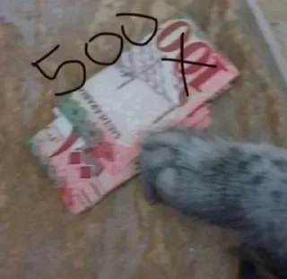 Video sticker 💰 ﺧوﻟﮪ ♡ .