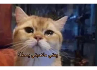 Телеграм стикер 🥺 ﺧوﻟﮪ ♡ .