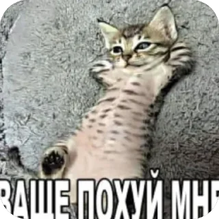 Video sticker 😘 Больше стиков тут: @stikery4