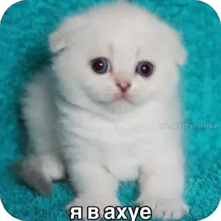 Телеграм стикер 😨 Больше стиков тут: @stikery4