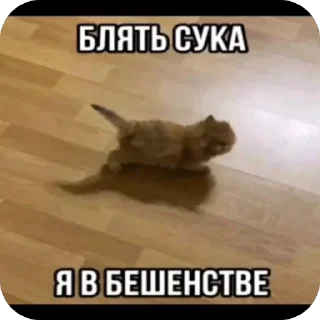 Телеграм стикер 😡 Больше стиков тут: @stikery4