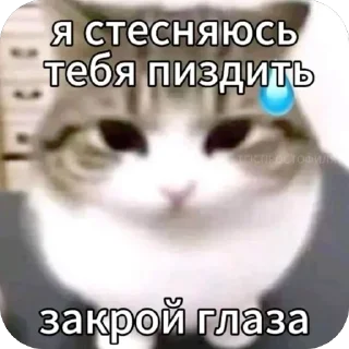 Video sticker 😅 Больше стиков тут: @stikery4
