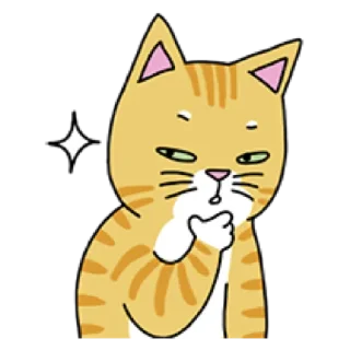 Video sticker 🐈 애!용!