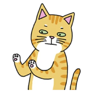 Video sticker 🐈 애!용!