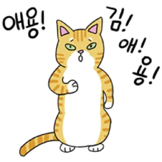Telegram sticker 🐈 애!용!