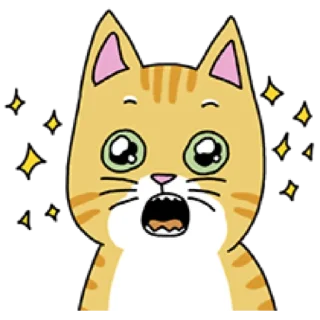 Telegram sticker 🐈 애!용!