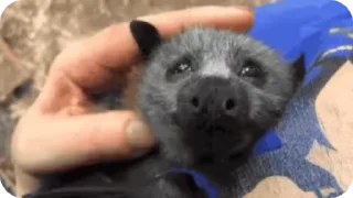 Video sticker ☺️ Mike's stuff ЛИЧНЫЙ стикерпак