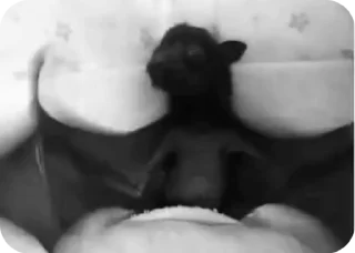 Video sticker 💥 Mike's stuff ЛИЧНЫЙ стикерпак