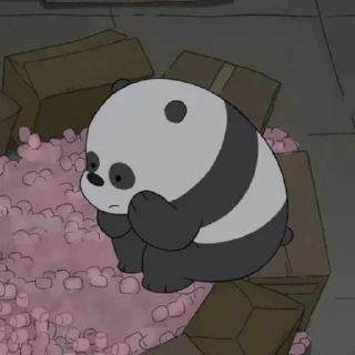 Video sticker 💗 فخر العرب هدهده