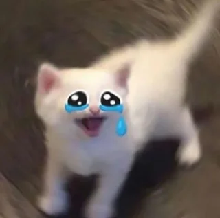 Telegram sticker 🥺 فخر العرب هدهده