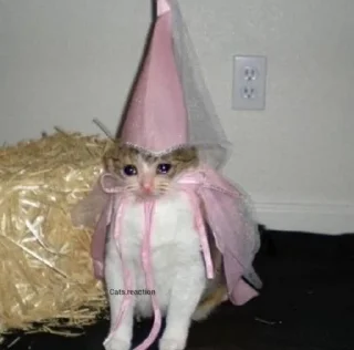 Telegram sticker 🥺 فخر العرب هدهده