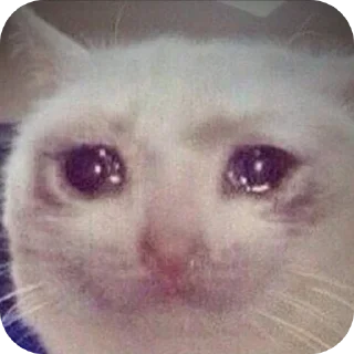 Telegram sticker 😢 Пиздец, а не пак :: @fStikBot