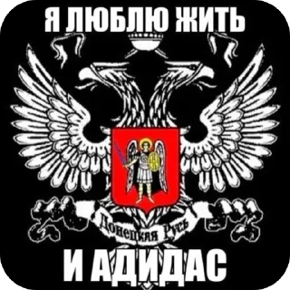 Video sticker 🫥 хоумис